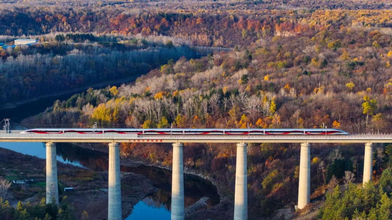 沈白高鐵正式開通運(yùn)營。受訪方供圖