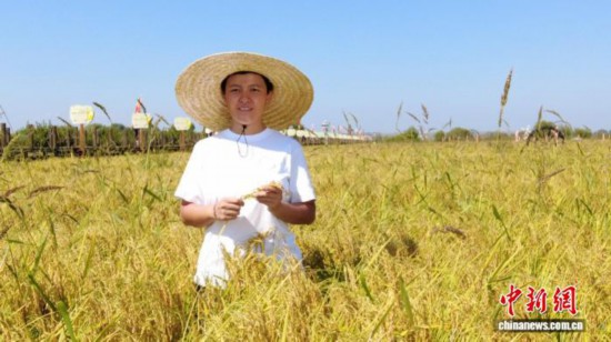 全國人大代表、寧安市渤海鎮(zhèn)上官地村黨支部書記、村委會(huì)主任陳雨佳在稻田中。 受訪者供圖